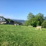 Pagoederraga Орио