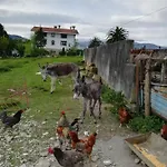 Pagoederraga Фермерский дом *