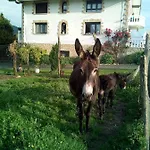 Pagoederraga Фермерский дом Орио