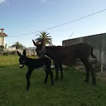 Pagoederraga Фермерский дом Орио