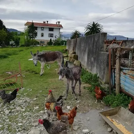 Pagoederraga Farm stay *