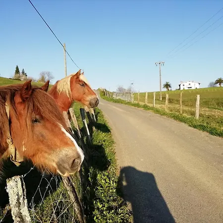 Pagoederraga Farm stay Orio