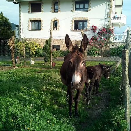 Pagoederraga Farm stay Orio