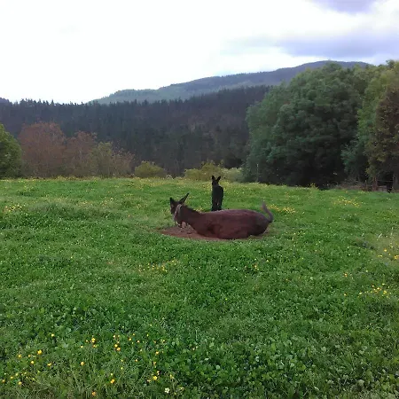 Farm stay Pagoederraga *
