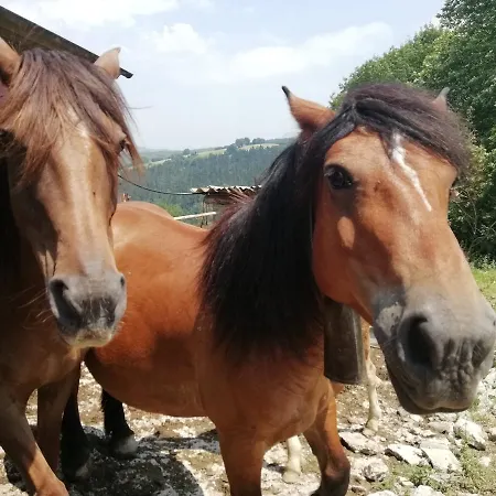 Farm stay Pagoederraga Orio