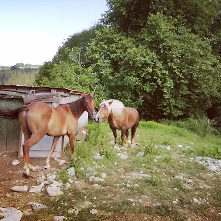 Pagoederraga Séjour à la ferme *