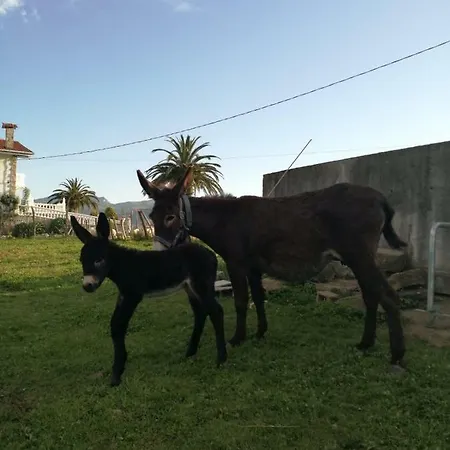 Pagoederraga Farmház Orio