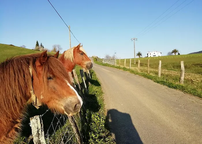 Pagoederraga Feriegård Orio