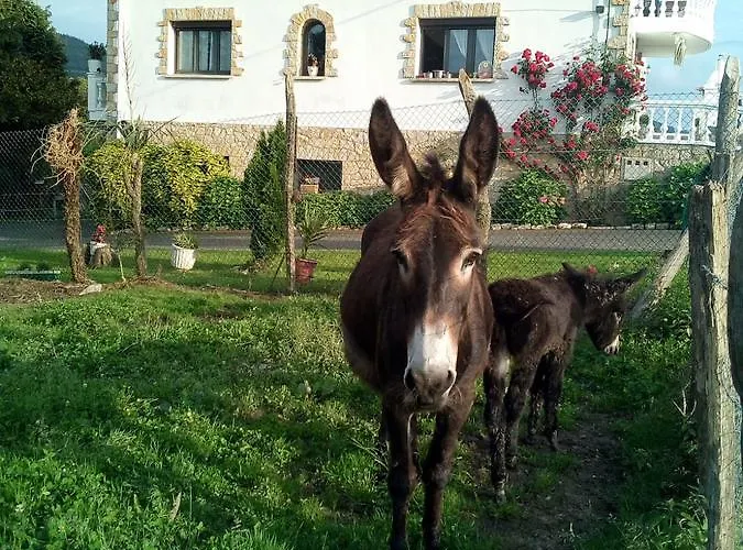 Pagoederraga Agroturismo Orio
