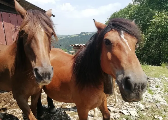 Agroturismo Pagoederraga Orio