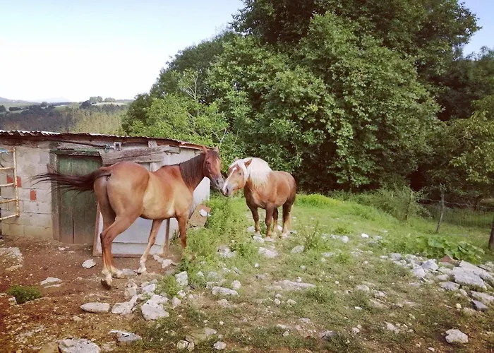 Pagoederraga Agroturismo *