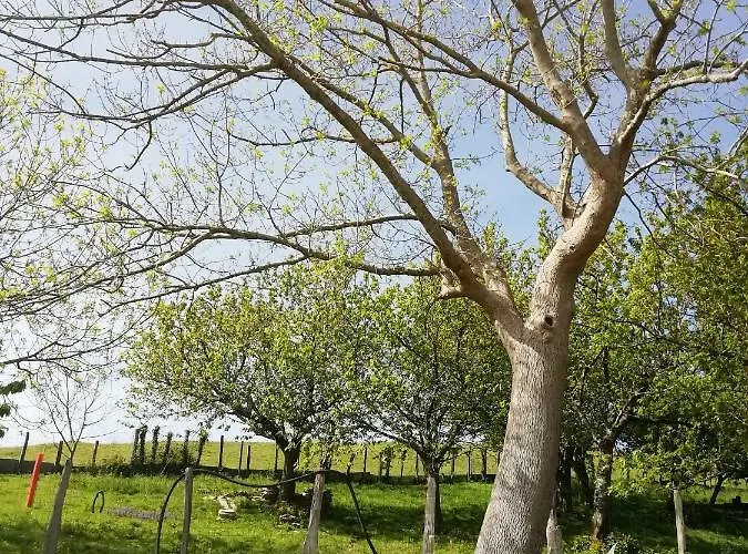 Alloggio per agriturismo Pagoederraga *