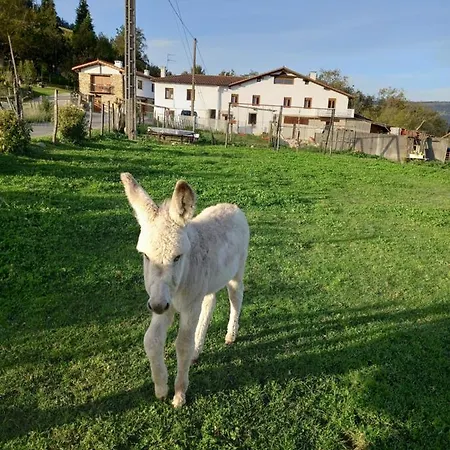 Pagoederraga