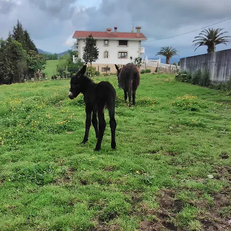 Pagoederraga Séjour à la ferme *