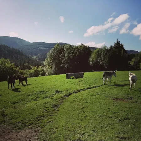 Pagoederraga Bauernhof Orio