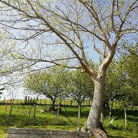 Feriegård Pagoederraga *