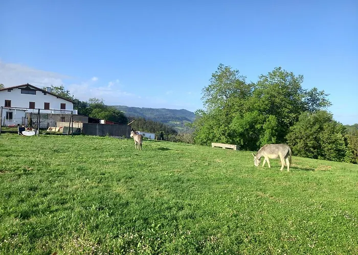 Pagoederraga Орио