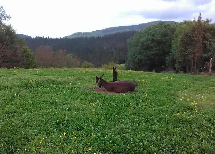 Фермерский дом Pagoederraga *