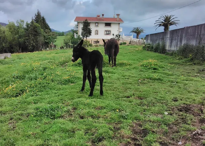 Pagoederraga Фермерский дом *