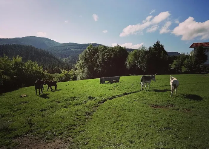 Pagoederraga Фермерский дом Орио