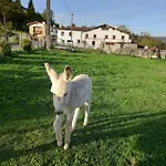 Pagoederraga