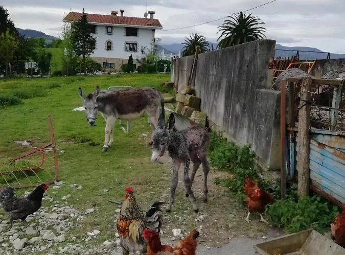 Pagoederraga Agroturismo *