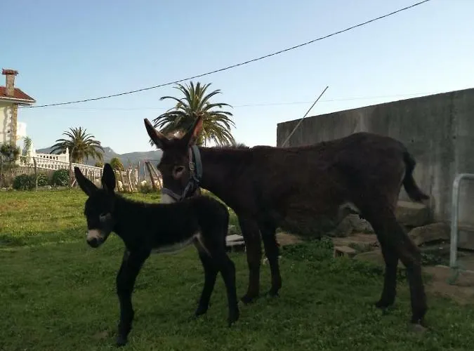 Pagoederraga Agroturismo Orio